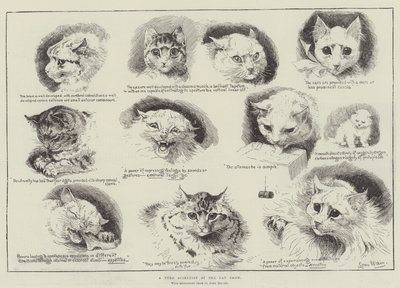キャットショーでタイロの科学者 作： Louis Wain
